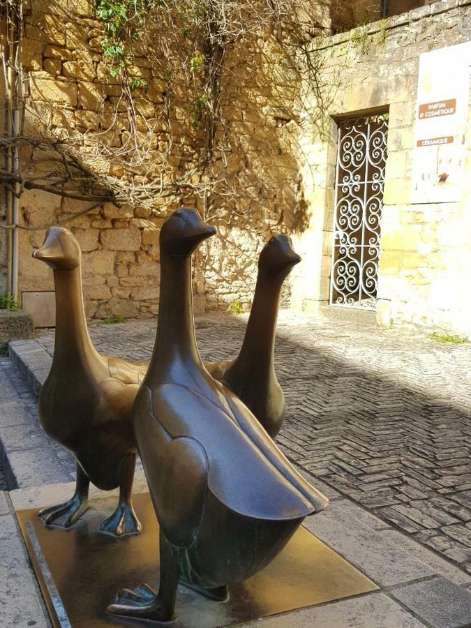 L'Appartement Du "Coup De Coeur De Sarlat" 外观 照片